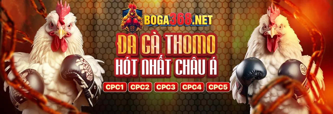Đá gà trực tuyến okking2